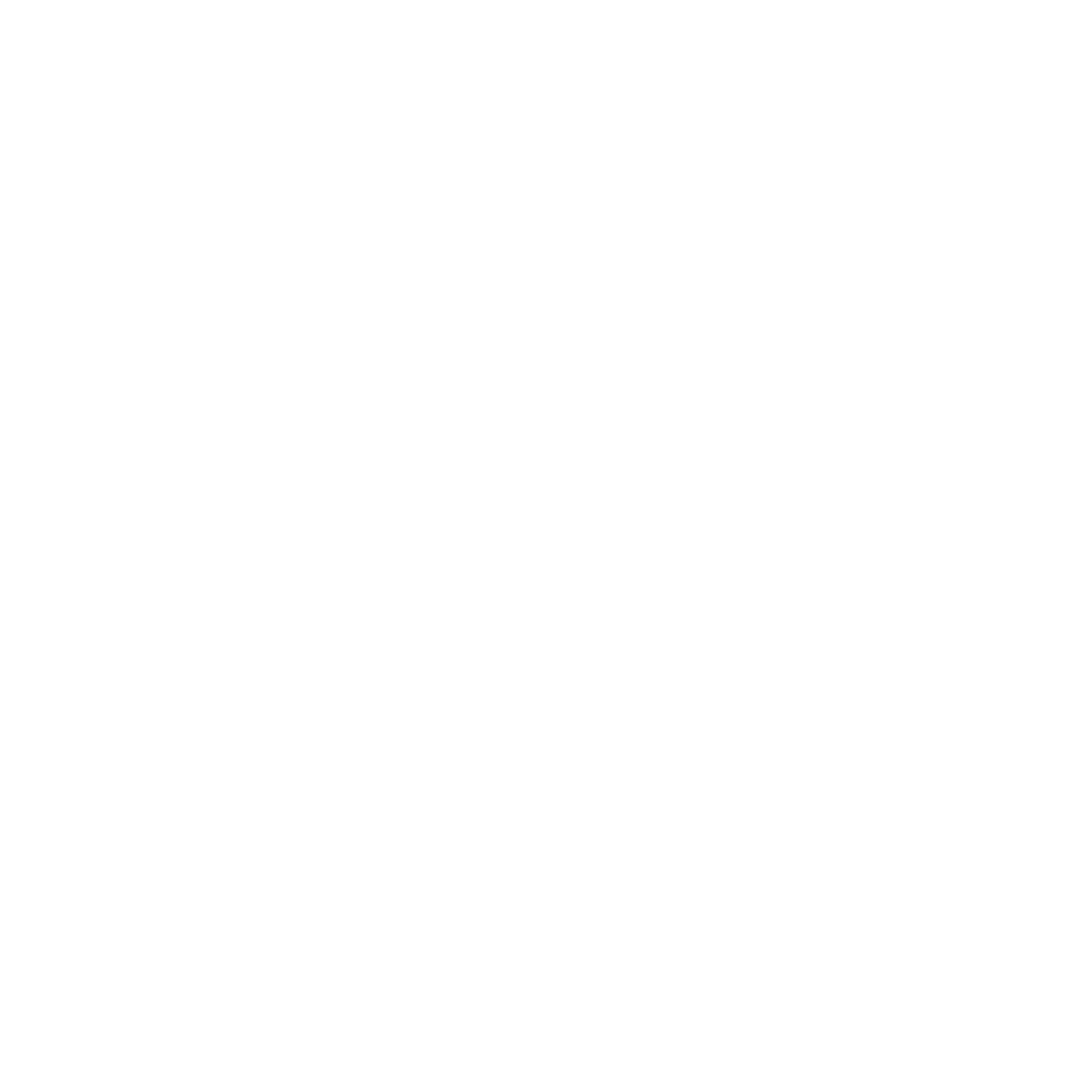 Logo archive 21