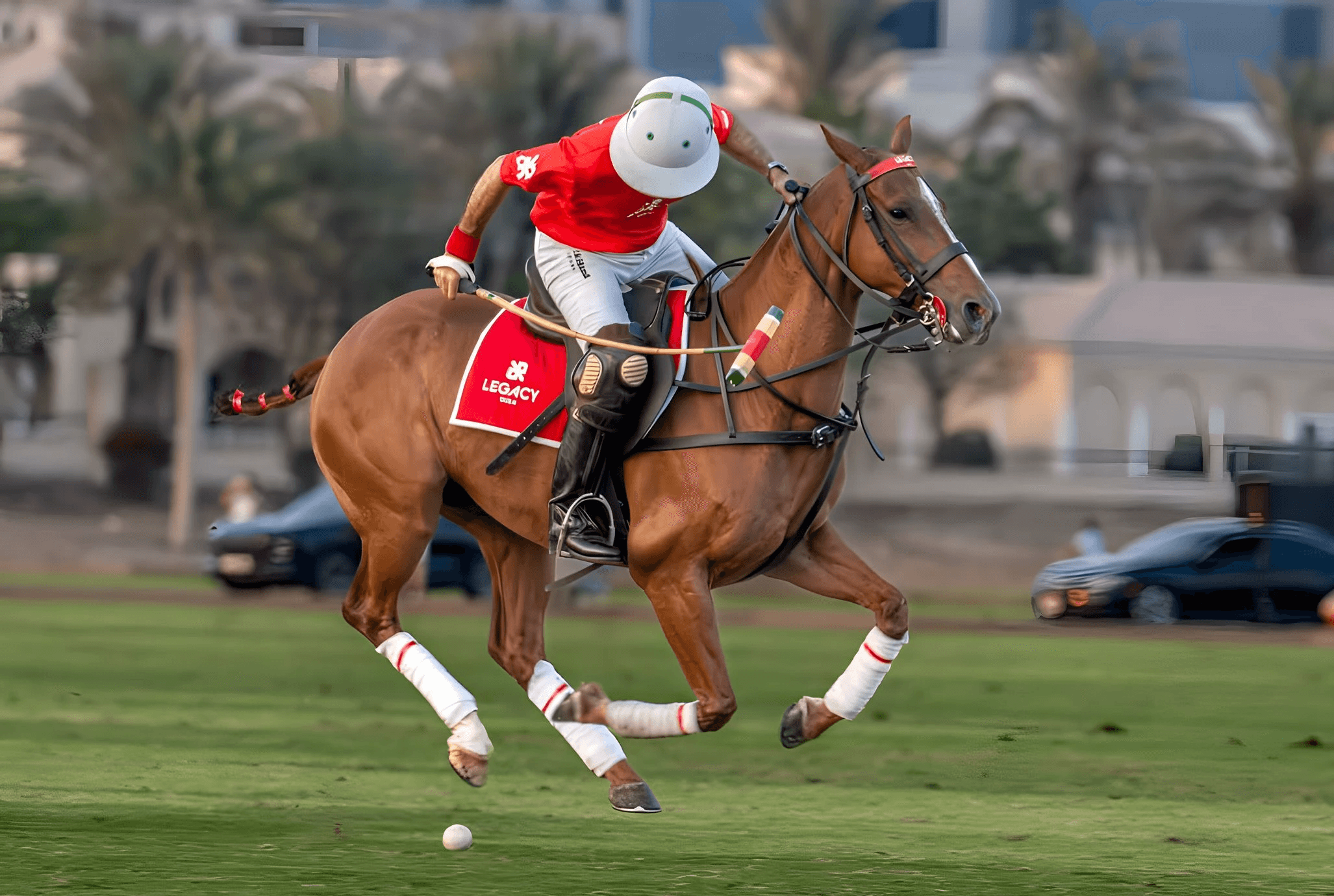 Legacy Polo Team